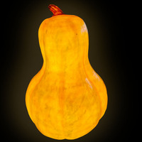 Nouveau Thanksgiving réaliste géant citrouille 3d Art affichage résine artificielle citrouille décor fibre de verre Statue Halloween décorations