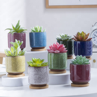 Pots succulents coréens de glaçure de fissure de glace en céramique de 2.5 pouces avec plateau en bambou Pot de fleur de tasse de thé pour le bureau de jardin à la maison