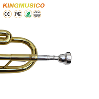 Bb Trumpet Brass Body with Gold Lacquer Finish | Stainless Steel Valves, 120mm Bell | Student & Band Trumpet OEM Factory Supply