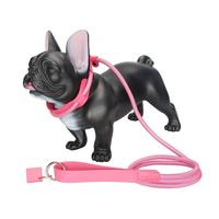 Collier et laisse pour chien tout-en-un en corde tressée OEM, boucle rembourrée douce, accessoires en métal doré, résistant à l'usure, ensemble d'entraînement pour animaux de compagnie
