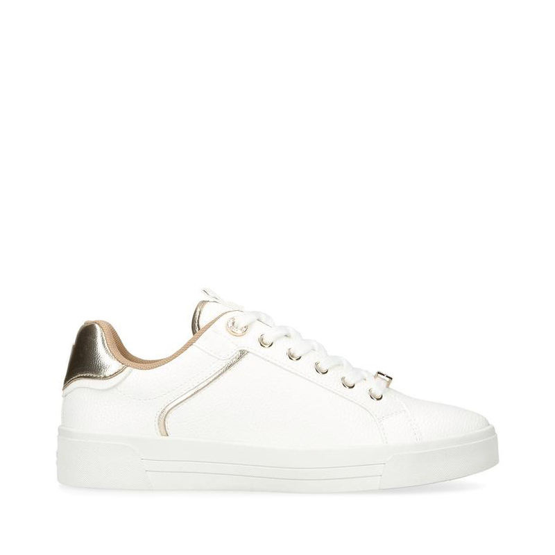 Color scheme Color 1