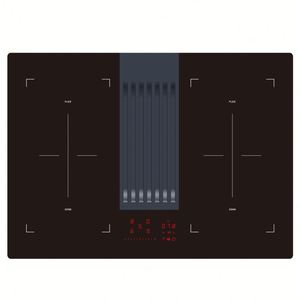 Cuisinière à induction haute puissance avec machine à fumée - Product Image 5