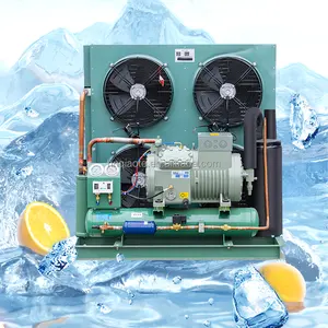 Bitzerコンプレッサー濃縮ユニットによる効率的な冷蔵のための冷凍ユニット