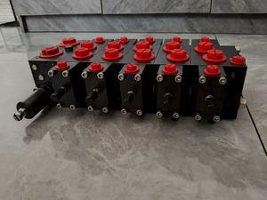 Beste Prijs Voor Hawa Psv62/220-5-6-e1 Triple Directionele Ventiel Bouwmachines Onderdeel - Product Image 3