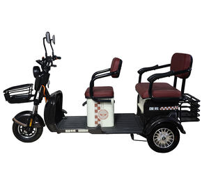 Venta al por mayor de rickshaws eléctricos de alto margen para distribuidores: Triciclo eléctrico para adultos para concesionarios - Product Image 5
