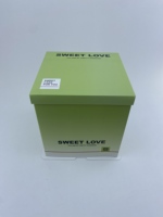 Boîte de présentation de gâteaux transparente verte de 6 pouces en gros avec couvercle, vitrine à pâtisserie carrée en PET, boîte cadeau pour desserts de boulangerie