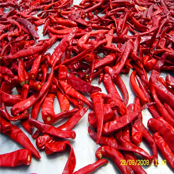 चीनी सूखी मिर्च सूखे कारखाने की कीमत प्राकृतिक लाल सूखी हुई चीनी