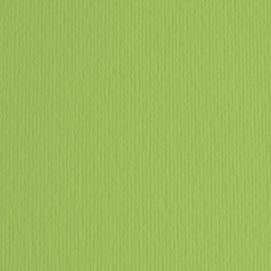 FABRIANO - ELLE ERRE CARDBOARD 50X70CM VERT POIS - Product Image 1