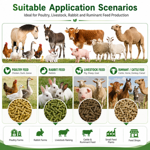 Línea Completa de Producción de Pienso en Pellets para Ganado Vacuno, Ovino, Caprino, Porcino y Avícola, Incluye Trituración, Mezcla, Peletización y Empaquetado - Product Image 3