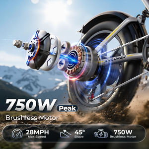 Bicicleta Eléctrica de Montaña VARUN con Neumáticos Gruesos de 20 Pulgadas, 500W, Suspensión Completa, 65 km de Autonomía, para Paseos Todoterreno, para Jóvenes, en Existencia en la UE - Product Image 3