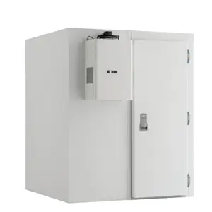 Custom Mini Cold Storage Small Cold Room Blaster Freezer Walk In Cooler Cold Room