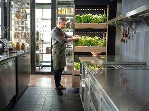 <span class=keywords><strong>Click</strong></span> & <span class=keywords><strong>Grow</strong></span> 25 Jardin <span class=keywords><strong>Intérieur</strong></span> Intelligent avec Lumières Améliorées, Outils de Culture de Légumes et <span class=keywords><strong>d</strong></span>'Herbes Vertes, <span class=keywords><strong>D</strong></span>écoration Intérieure 2023 - Product Image 5