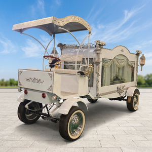 Carroza Fúnebre Eléctrica Retro de Estilo Europeo, Nueva, Plateada, para Venta - Product Image 1