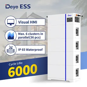 Ningbo Deye Ess AI-W5.1-B Fabrikant 51.2V Module 100ah Lifepo4 Batterij Energieopslagsystemen