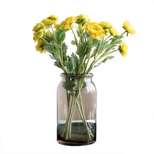 Florero de Vidrio Hidropónico Moderno, Florero Decorativo de Vidrio para Escritorio, Venta al por Mayor - Product Image 5