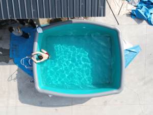 Piscina Grande Portátil, Plegable, Inflable, Elevada, para Jardín y Patio - Product Image 6