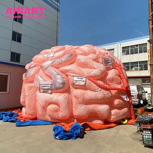 Modèle d'organe cérébral gonflable pour les événements d'éducation en <span class=keywords><strong>neurologie</strong></span> - Product Image 3