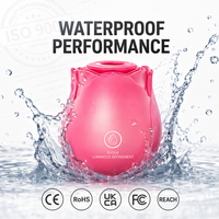 Disponibile negli USA, Consegna Rapida in 2-5 Giorni, Vibratore a Forma di Rosa in Silicone con 10 Frequenze e Funzione Luminosa, ACQUISTA ORA