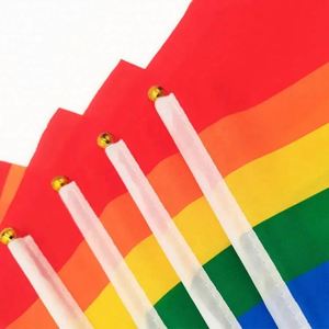 Wholesale Polyester Custom Size Lesbian Gay Pride Mini Small Hand Held Waving <b>Flag</b> with Plastic Pole - Product Image 4