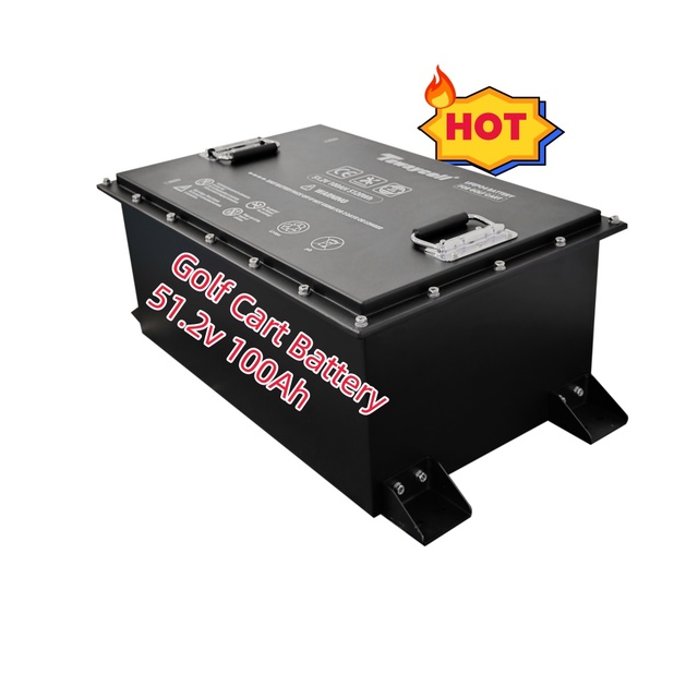 Factory Wholesale Electric Golf Cart Batteries 51.2V 100Ah Liquid LiFePO4 Battery Pack IP65 Waterproof 5-Year Warranty