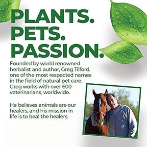 Suplemento Líquido de Cardo Mariano 100% Natural y Orgánico de Marca Privada OEM/ODM para Perros, Desintoxicación Hepática y Apoyo para Perros Mayores - Product Image 4