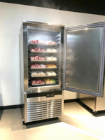 Congélateur à choc commercial 15 plateaux à température unique, refroidissement par ventilateur, dégivrage automatique, congélateur vertical pour congélation rapide de la viande