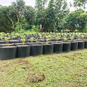 Pots purificateurs d'air AwsPot 30, 40, 50, 60, 200 gallons en PE PVC <span class=keywords><strong>pour</strong></span> <span class=keywords><strong>arbres</strong></span>, myrtilles, haies, fleurs - Product Image 6