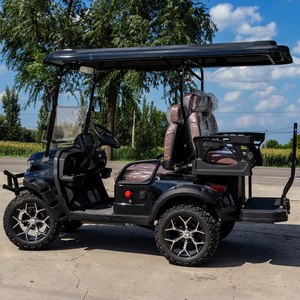 Produits les plus vendus, Offre la plus vendue 2025, Prix compétitifs pour voiturettes de golf, Buggy, Voitures miniatures chinoises et américaines de type street car à vendre - Product Image 2