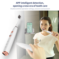 Brosse à dents électrique personnalisable avec logo APP, étanche, rechargeable, sonique, pour adultes