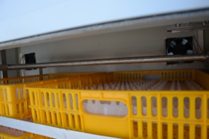 Incubadora de Huevos Automática para Grandes Granjas, Modelo HT-1056, para Agricultores del Mundo - Product Image 5