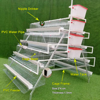 Cage pour poules pondeuses avec abreuvoir à tétine et plateau à œufs pour poules pondeuses, ferme avicole, 4 niveaux, 4 portes, Type-A