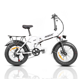 PASELEC <b>Electric</b> Folding Bike 20 Inch Fat Tire 500W Brushless Motor 500w <b>electric</b> bike Disc Brakes 7 Speed - Product Image 2