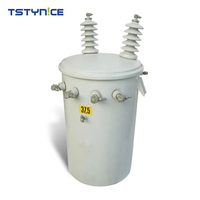 Transformadores de Media Tensión y Alta Tensión Sumergidos en Aceite, Monofásicos, Salida de 600v, Frecuencia de 50Hz y 60Hz, con Certificación CE, Gran Oferta