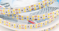 Bande LED double ligne en promotion 3000K/4000K/6000K 240 LED/mètre 24V 2 lignes SMD 2835 Largeur PCB 10mm