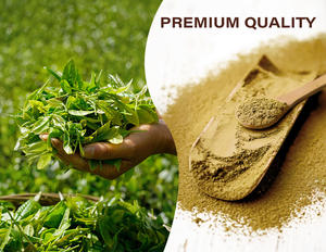 Prémélange soluble dans l'eau instantané naturel pur fabricant de poudre de thé <span class=keywords><strong>Oolong</strong></span> approvisionnement cravate instantanée Guan Yin extrait de thé <span class=keywords><strong>Oolong</strong></span> - Product Image 6