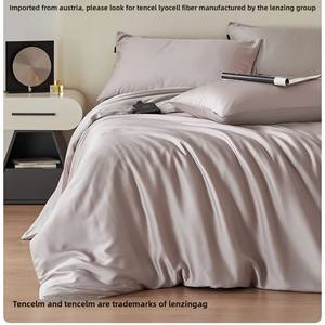 Juego de Ropa de Cama de Lujo Ligero <span class=keywords><strong>FILON</strong></span> VIRO, Juego de Cuatro Piezas Personalizado, Color Sólido, Funda de Edredón de Verano, Sensación Sedosa y Fresca al Tacto - Product Image 2