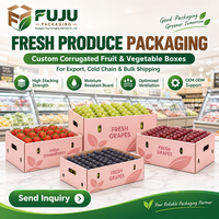 Boîtes rigides en carton ondulé de haute qualité, écologiques et résistantes, formes personnalisées, impression de logo pour FUJU