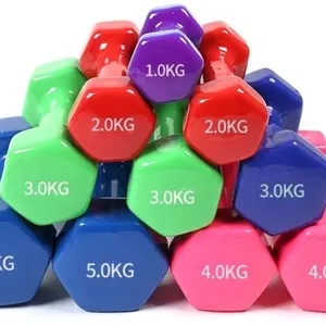 Wholesale Hex Dumbbells Colorful Vinyl Dumbbell Set Gym And Home Fitness