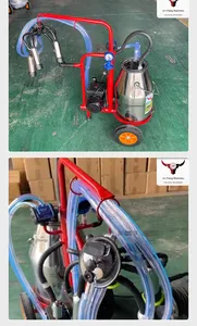 Machine à traire les vaches et les moutons à haute productivité, neuve ou d'occasion, avec pompe à vide automatique et pompe à moteur haute performance, pour fermes laitières - Product Image 4