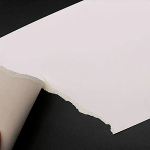 Papel con Recubrimiento Láser de 300g, 320*450mm, Engrosado, Impresión de Doble Cara de Alto Brillo para Álbumes, Manuales, Pósters de Portada - Product Image 2