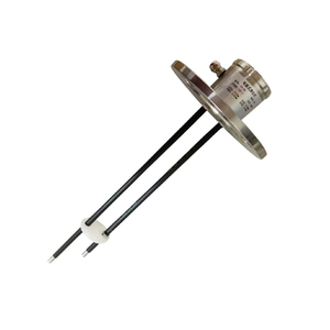 Capteur de niveau conducteur en acier inoxydable ELS 10 bars pour eau et huile, interrupteur à électrode avec vis - Product Image 6