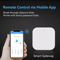   Serrure de porte intelligente avec passerelle Wi-Fi, émetteur sans fil 2.4G, télécommande, déverrouillage, enregistrement, consultation, code d'accès temporaire