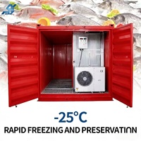 Conteneur frigorifique de 20 pieds pour fruits, légumes, viande, conteneur frigorifique portable avec contrôle de la température -25 ℃