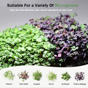 Wholesale Indoor 16W Seed Starter Led Full Spectrum Intelligent Hydroponic Planter Microgreens <strong>Growing</strong> <strong>Kits</strong> 3-Year Warranty - Product Image 4