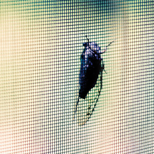 Lưới Chống Côn Trùng Nông Nghiệp, Lưới Che Nắng Chống Côn Trùng - Product Image 1