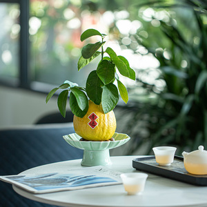 Assiette en céramique sur pied en forme de fleur, plat à fruits en porcelaine pour le thé et les collations, résistant à l'eau, plat en forme de main de Bouddha - Product Image 2