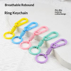 Keychains <b>Clips</b> With O in Bulk Quick Release Key Chain Rings <b>Spring</b> Double Ring Keychain Holder for Bag Gift Wholesale - Product Image 2