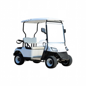 Carrito de Golf Eléctrico de Alta Velocidad para Uso en Resorts, Mini Carro de Golf de 4 Ruedas y 2 Plazas, 48V, para Hotel - Product Image 2