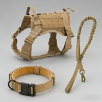 Conjunto de Arnés, Collar y Correa de Nailon para Perro, Diseño Ajustable para Perros Pequeños, Medianos y Grandes, Cómodo para Paseos Diarios