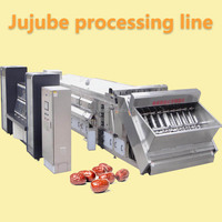 Volautomatische Rode Jujube Jam Verwerkingsmachine Data Verwerking Makende Lijn